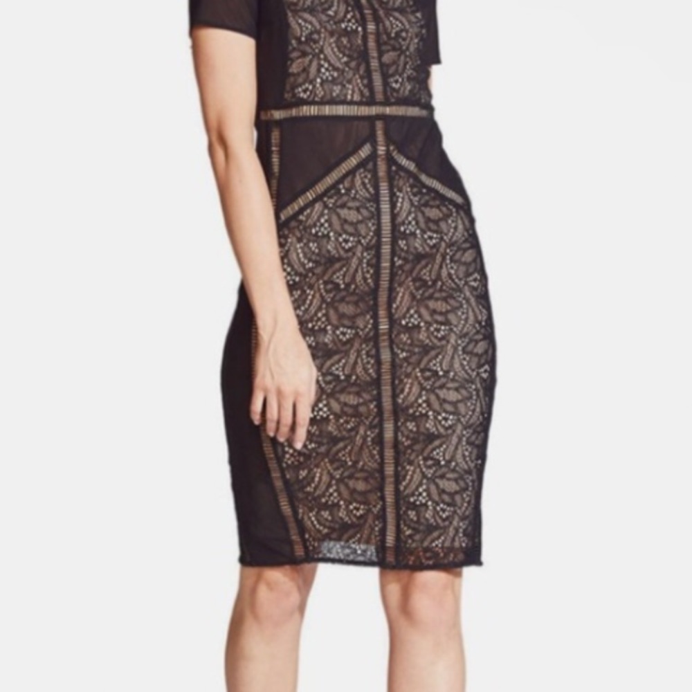 Bardot Lace/Sheer dress fits size 4